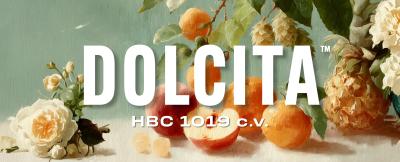Dolcita™ HBC 1019 c.v.