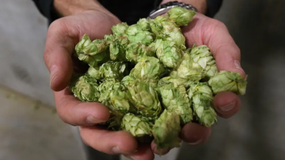 Hop Update June 2025