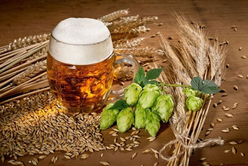 Brewnanza Fest 2025: Singapore’s premier event for craft beer lovers