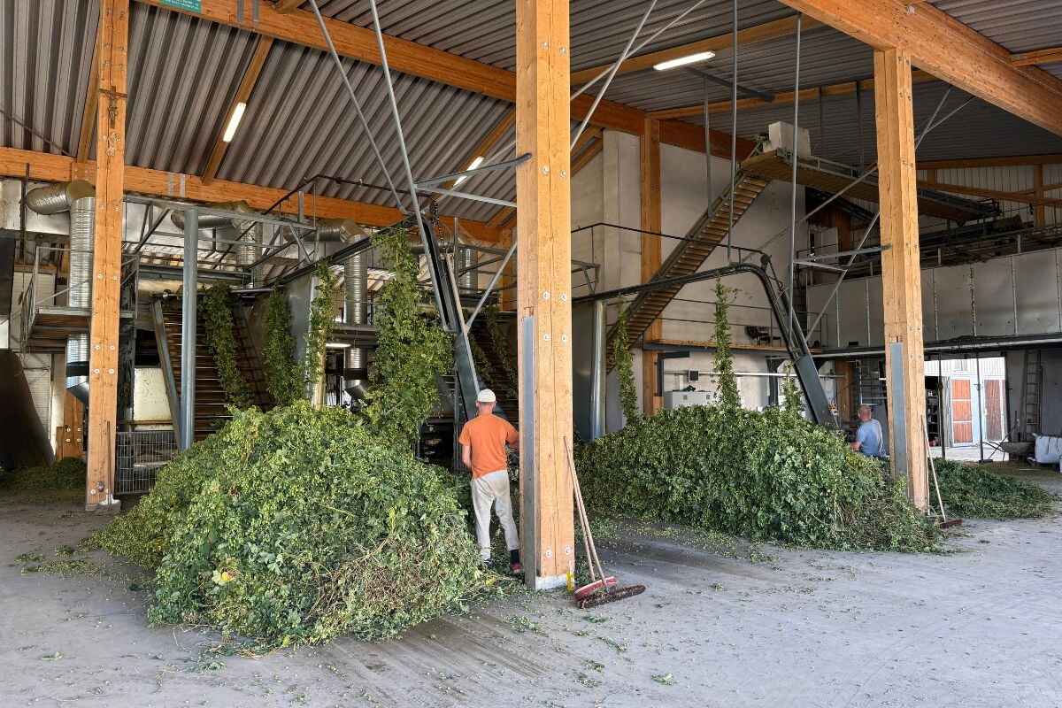 Hop Update September 2026
