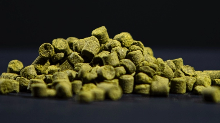 The Czech Republic: SAAZ hop-growing landscape granted UNESCO World Heritage status