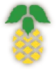 dua-custom-1png.png (18 KB)