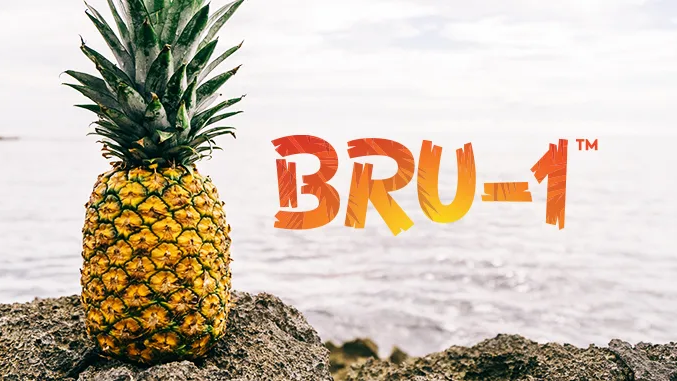 BRU-1™ – MỘT LỰA CHỌN ĐÁNG ĐỂ THỬ???