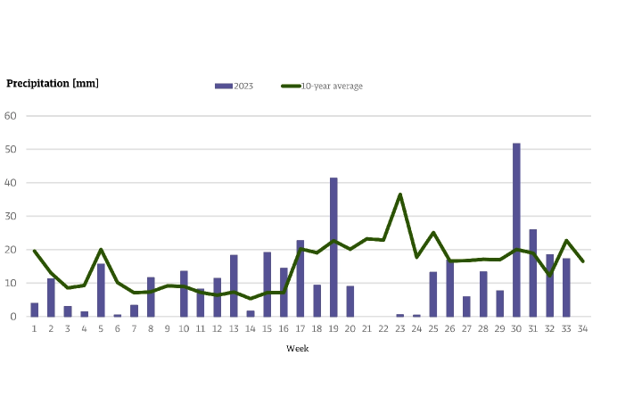 Hop Update August 2023