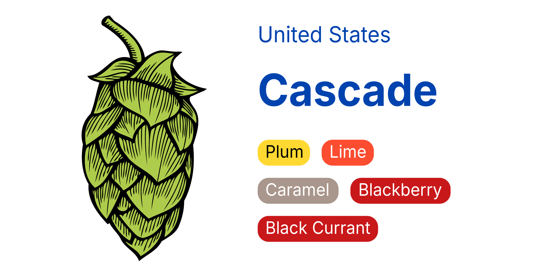 Cascade