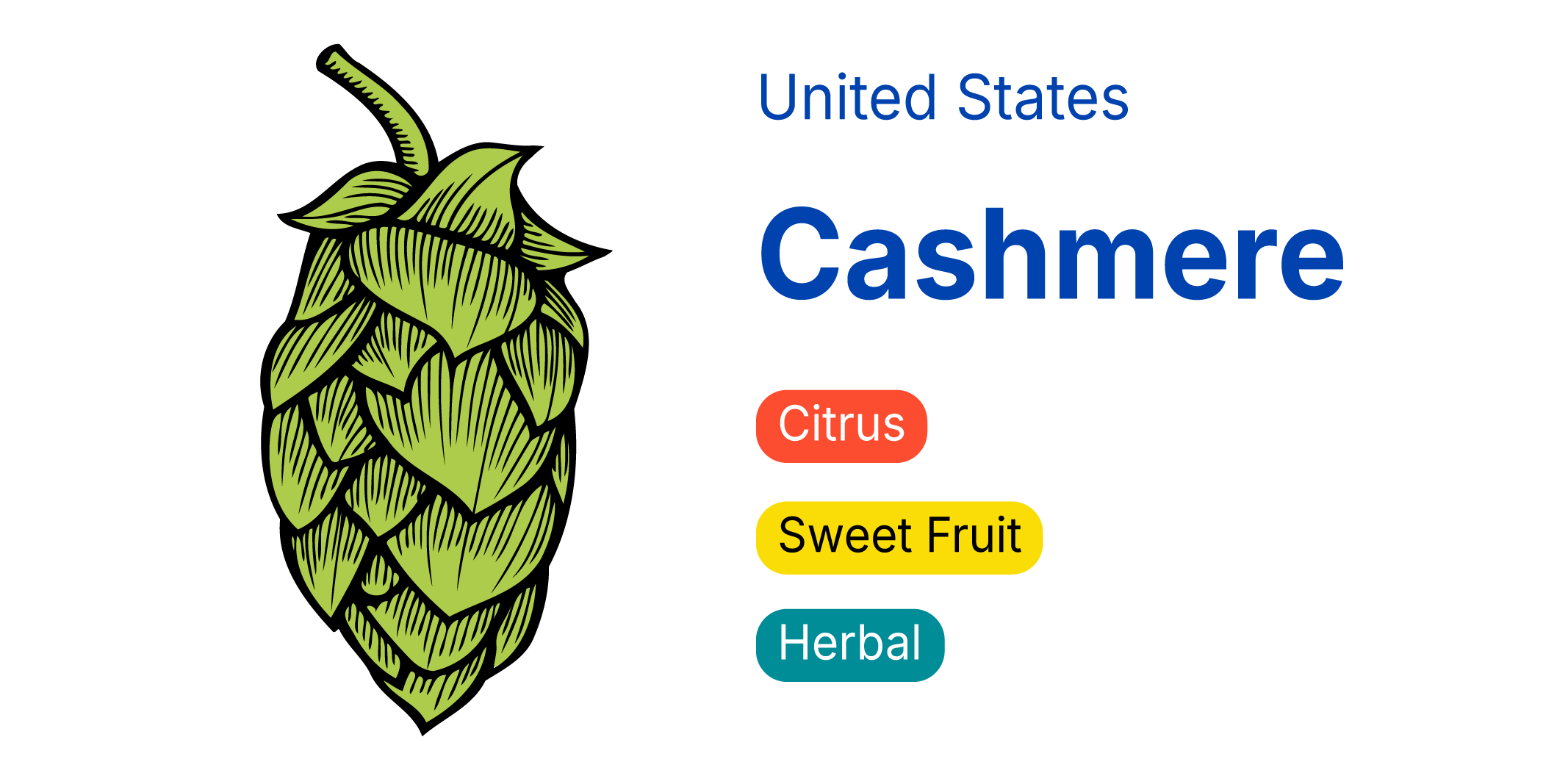 CASHMERE