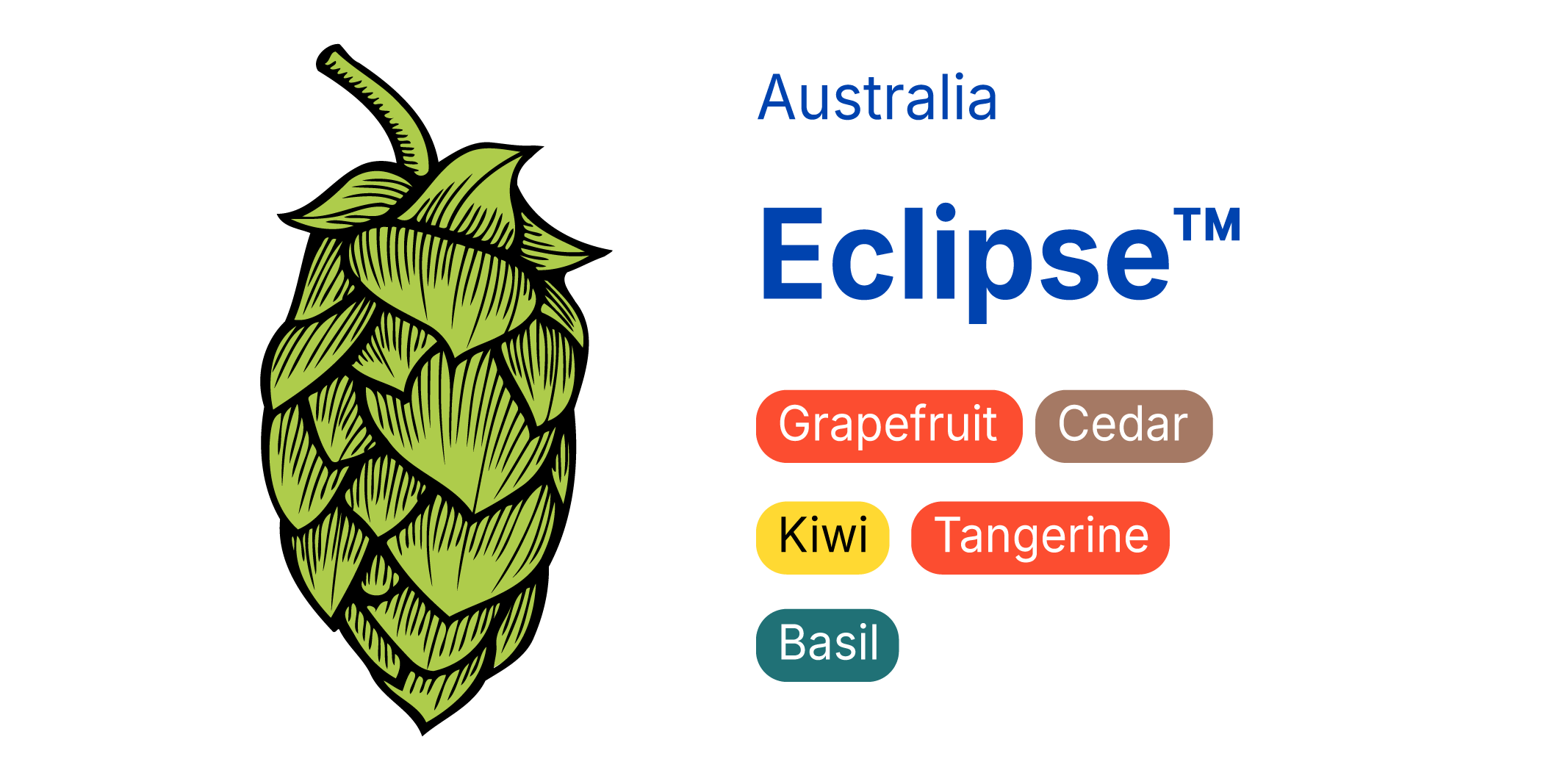 Eclipse
