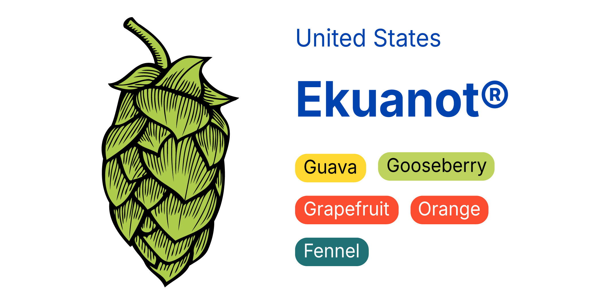 Ekuanot®