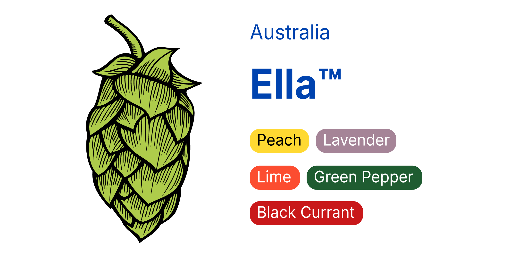 Ella™