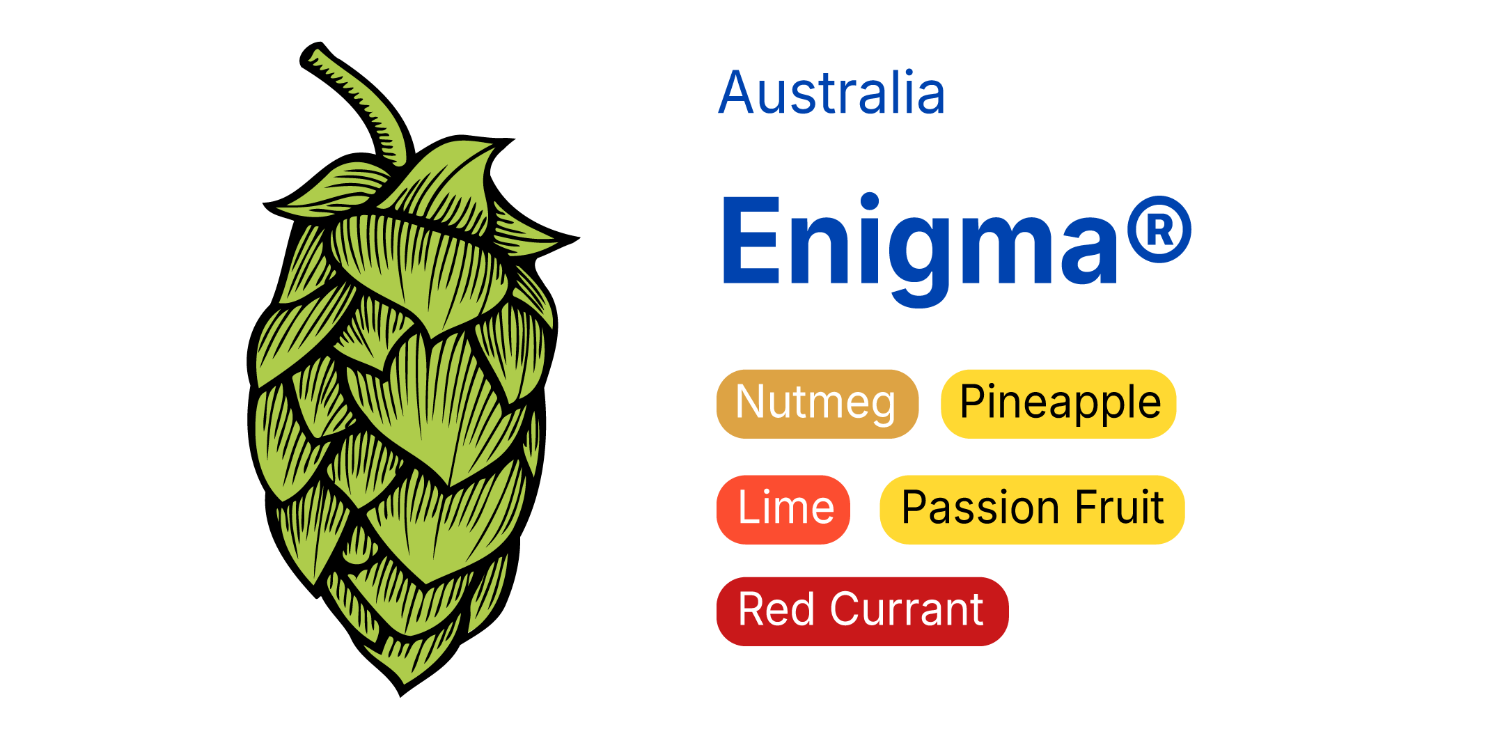 Enigma®