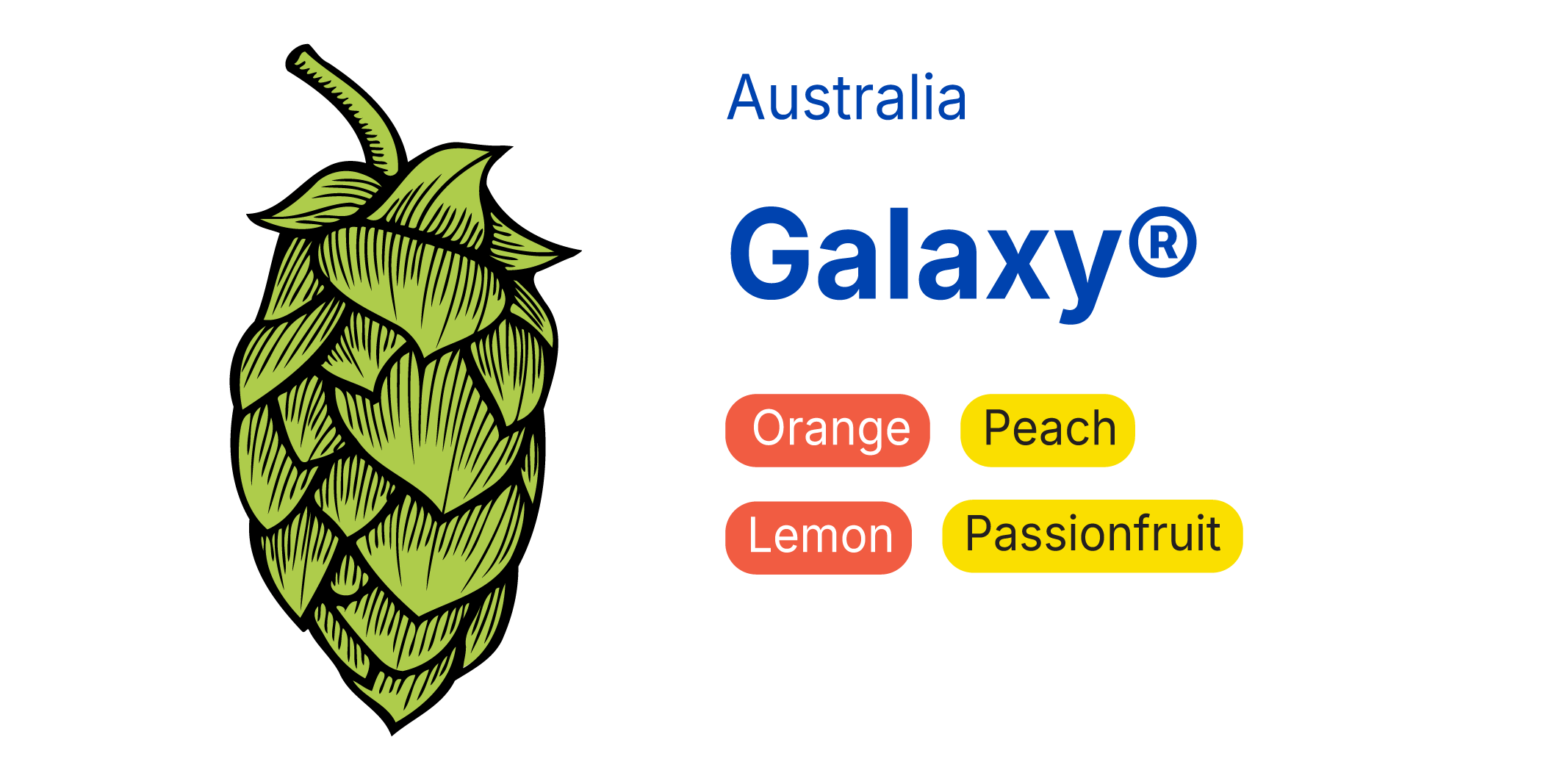 Galaxy