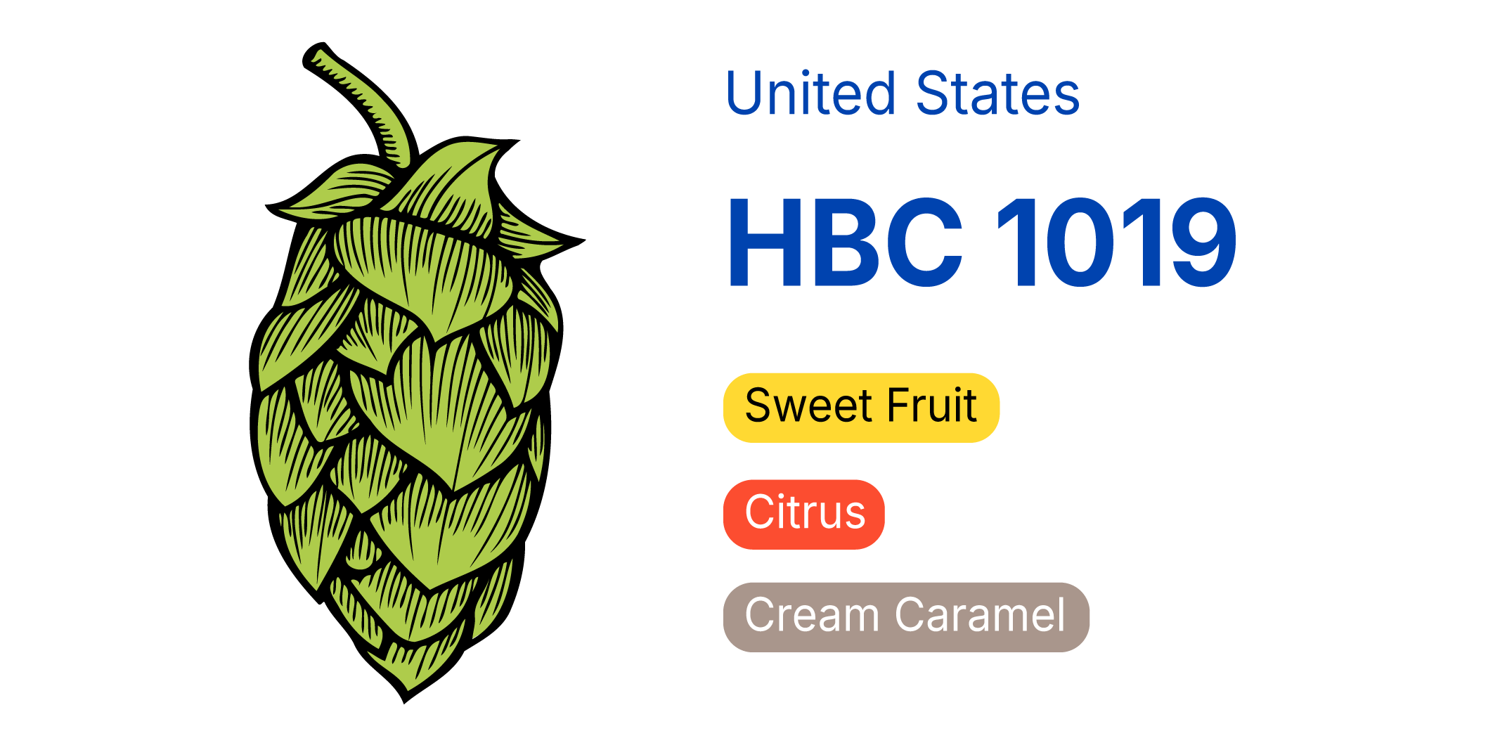 HBC 1019