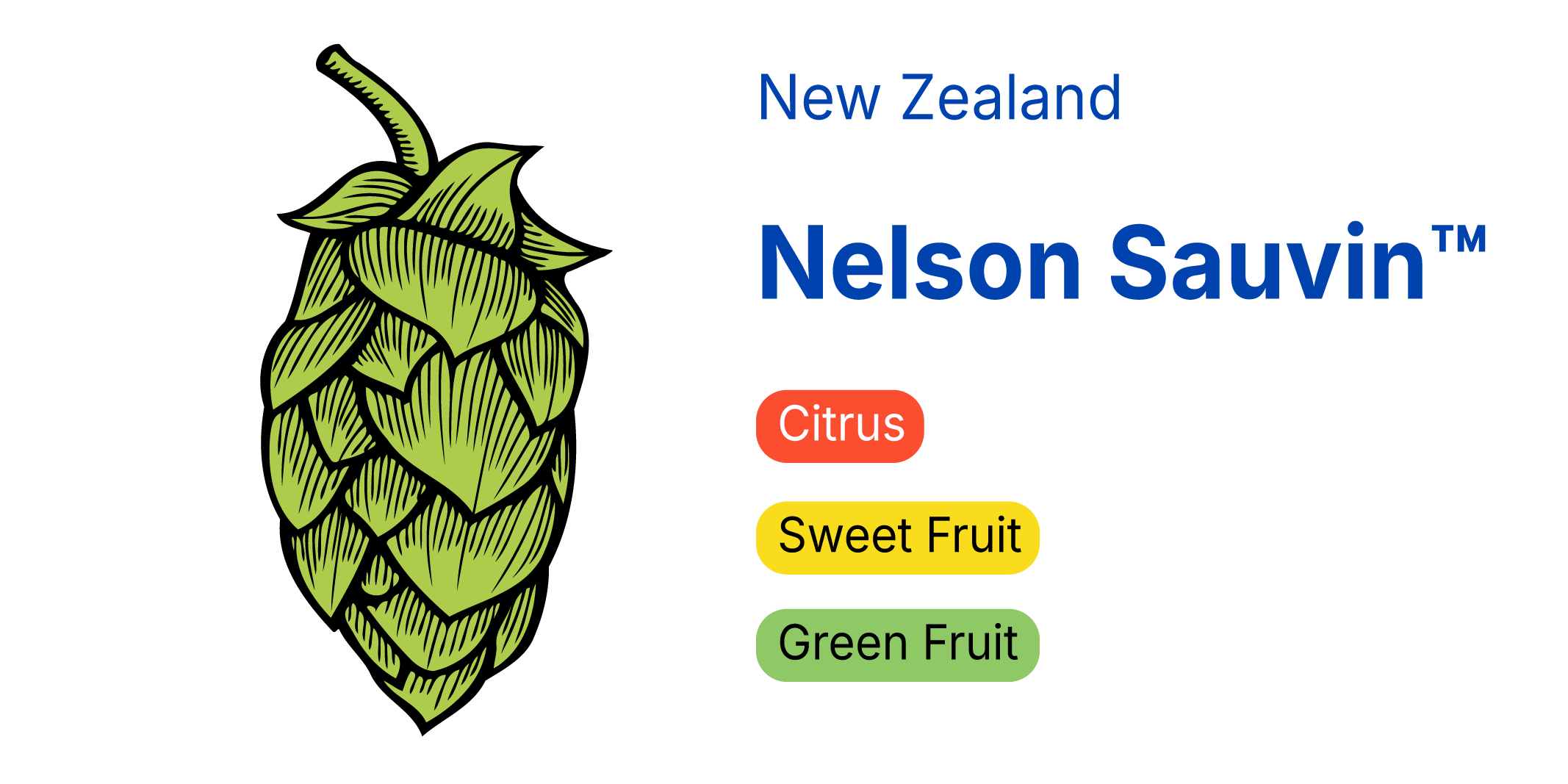 Nelson Sauvin