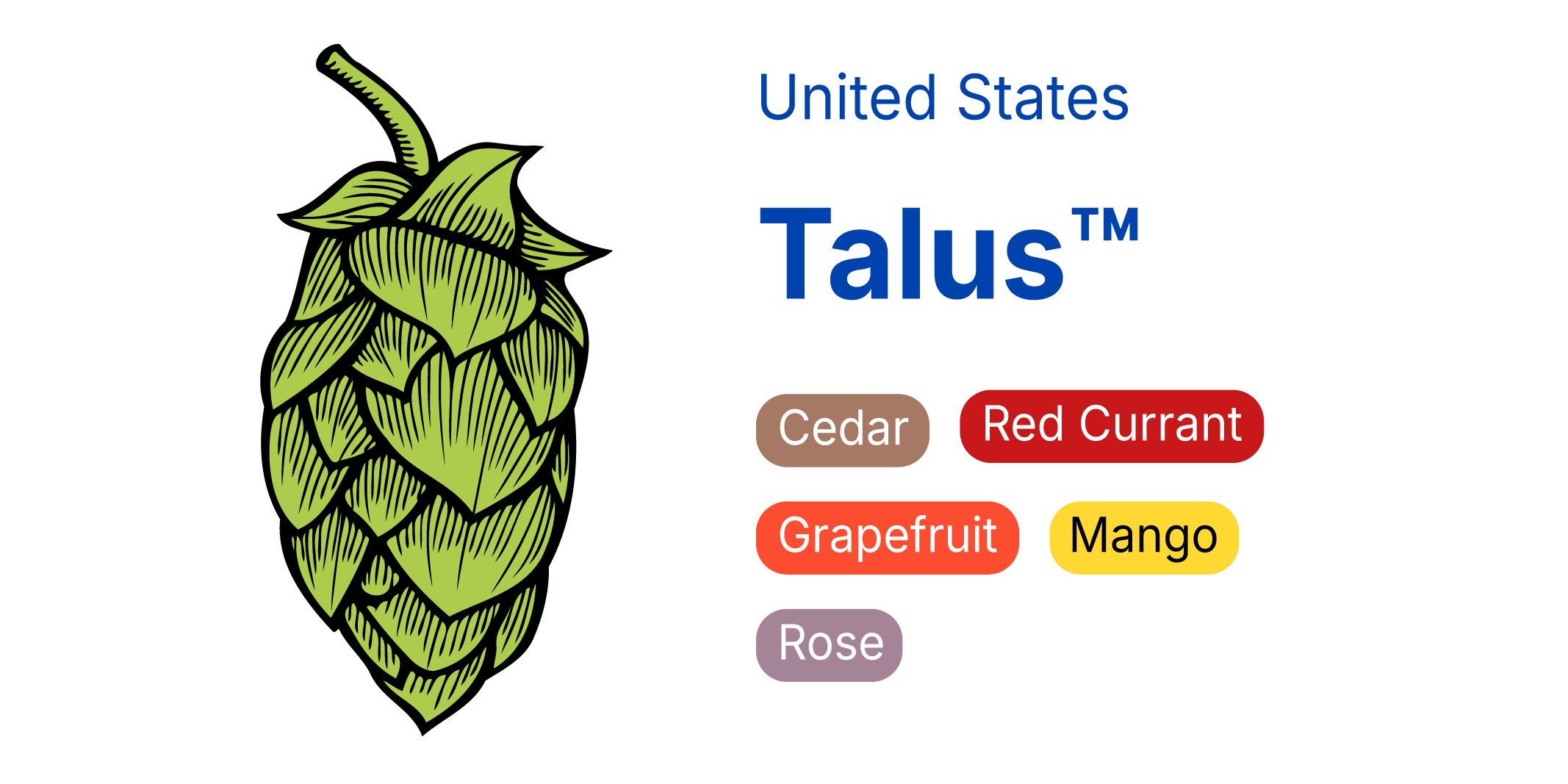 Talus™