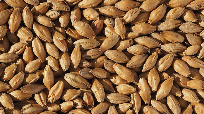 Vienna Malt