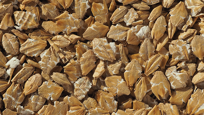 FLAKED TORREFIED BARLEY