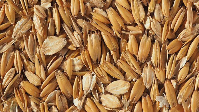 FLAKED TORREFIED OATS