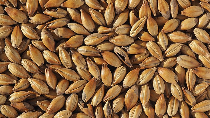 Extra Light Crystal (Crystal 100) Malt
