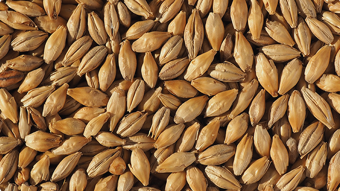 DEXTRIN MALT