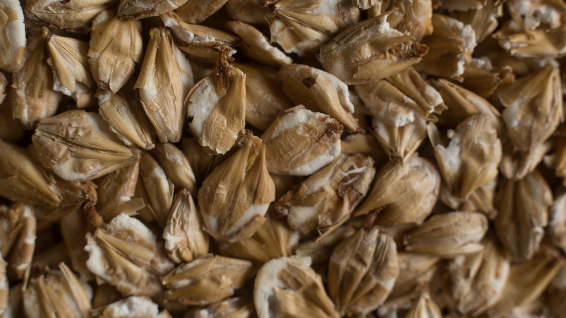 CHÂTEAU CHIT BARLEY MALT FLAKES