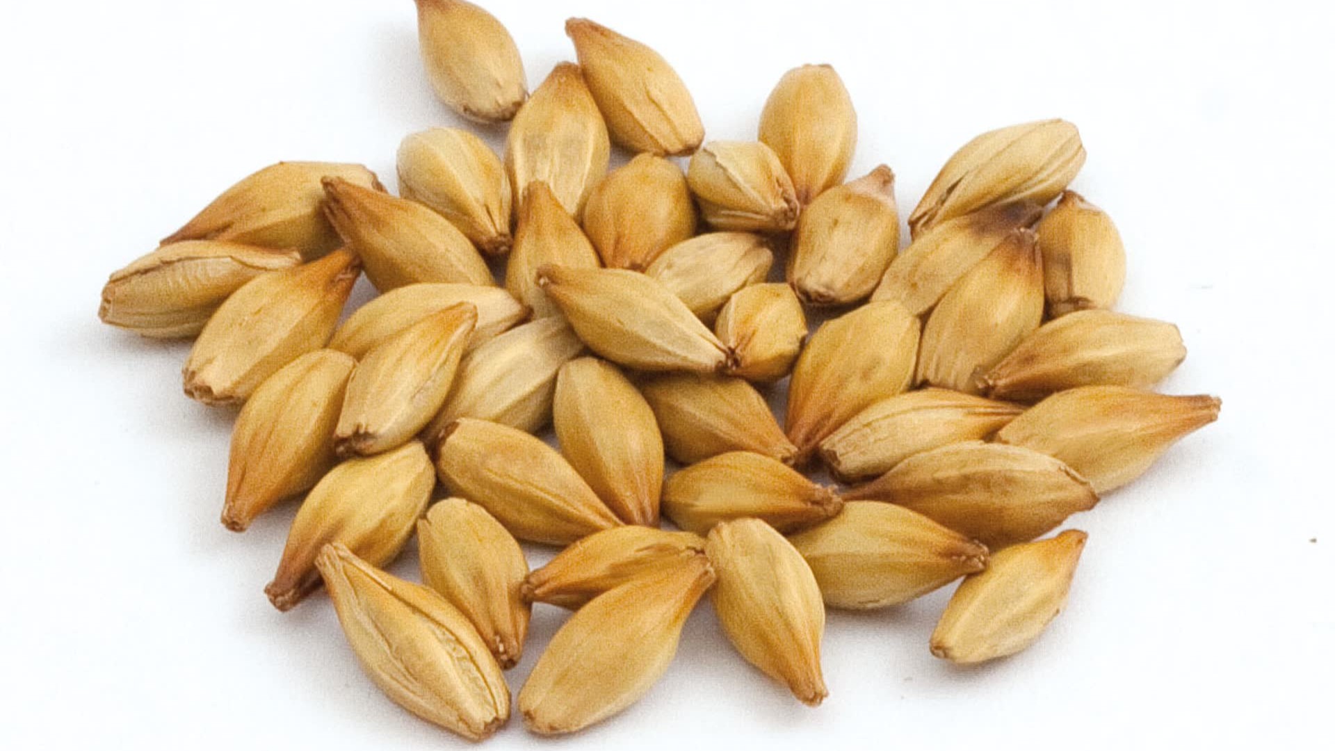 Light caramel malt