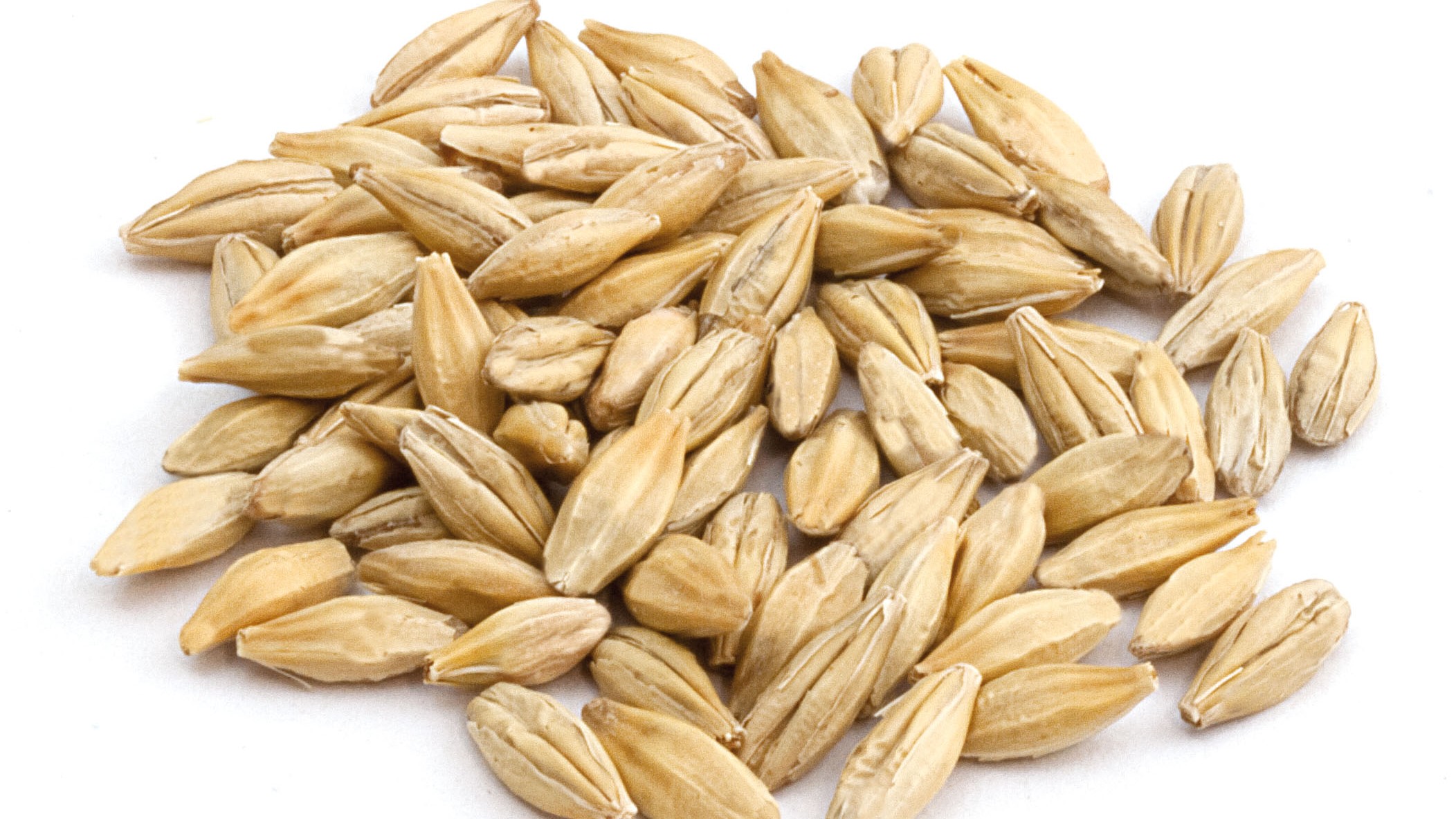 Munich Malt