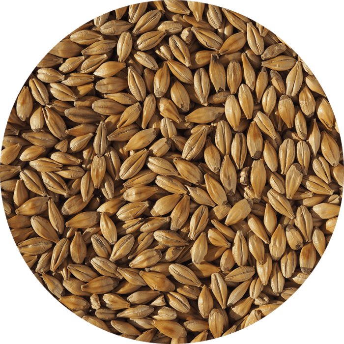 Cara Gold Malt