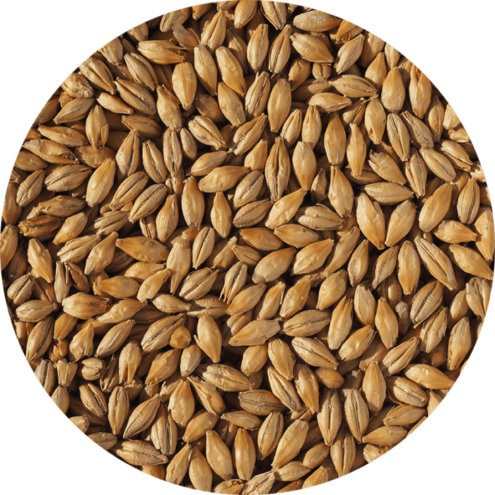 Dextrin Malt