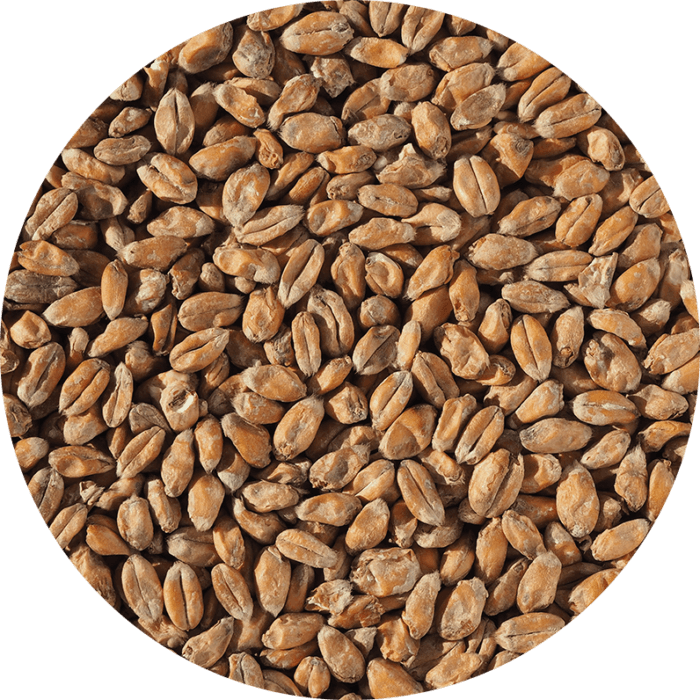 Wheat Malt